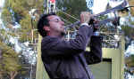 bbvd-trumpet.jpg (59152 bytes)