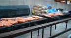 ribs.jpg (66112 bytes)