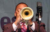 wynton.jpg (51783 bytes)